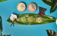 The Truth About Plant Protein Supplements